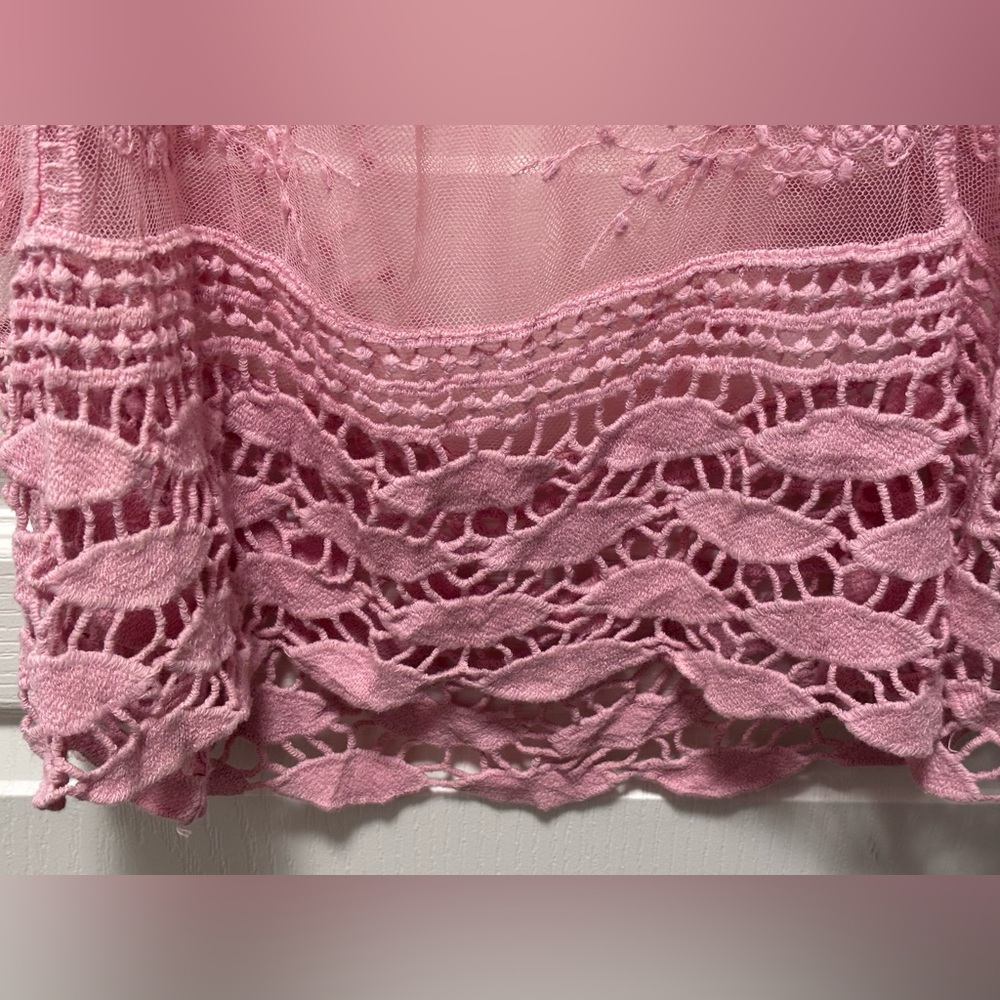 Pink Lace Overlay Dress embroidered with ruffled sleeves sheer - Picture 6 of 16